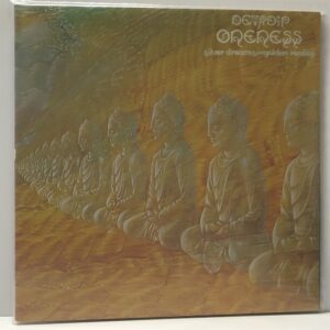 Oneness (USED LP)