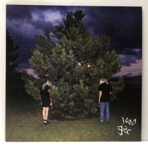 1000 Gecs (USED LP)