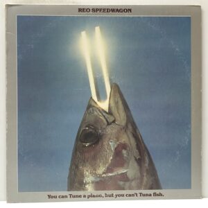 You Can Tune a Piano But You Cant Tune A Fish