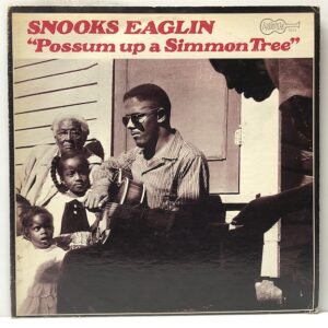 Possum Up a Simmon Tree (USED LP)