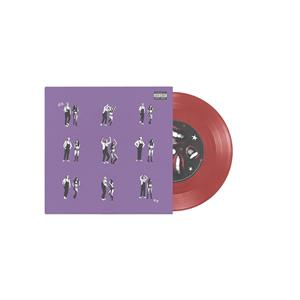 drivers license / burning down the house 7"
