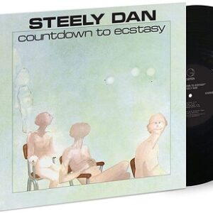 Countdown To Ecstasy (NEW LP)