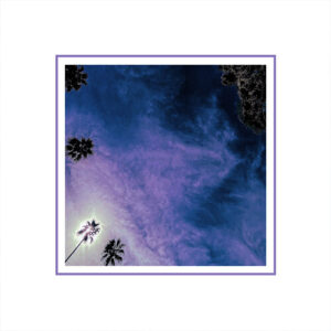 Look Outside Your Window (NEW LP)