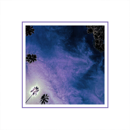 Look Outside Your Window (NEW LP)