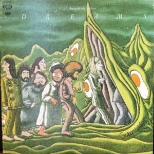 Imagine My Surprise (USED LP)