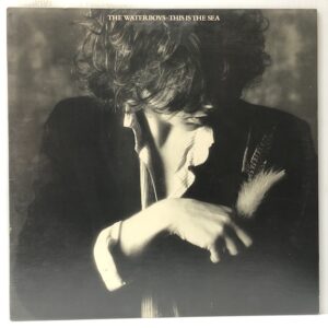 This Is the Sea (USED LP)