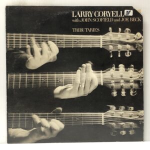 Tributaries (USED LP)