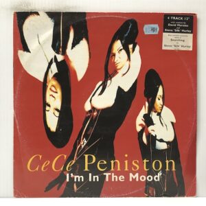 Im In the Mood (USED LP)