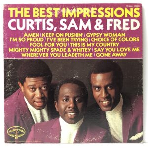 Best Impressions (USED LP)