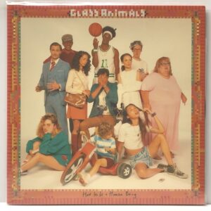 How To Be a Human Being (USED LP)