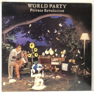 Private Revolution (USED LP)