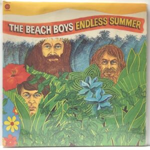 Endless Summer (USED LP)