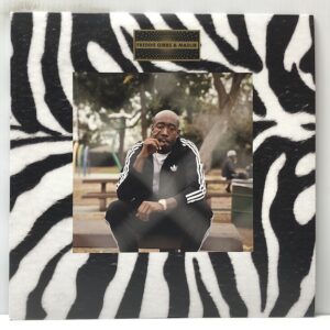 Pinata (USED LP)
