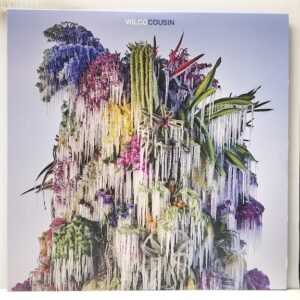Cousin (USED LP)