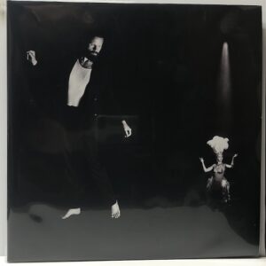 Chloe and the Next 20th Century (USED LP)