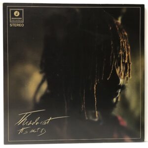 It Is What It Is (USED LP)