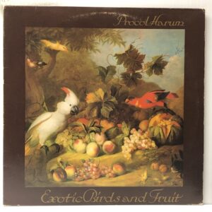 Exotic Birds and Fruit (USED LP)