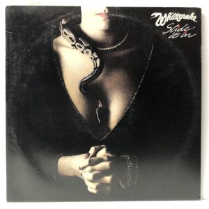 Slide It In (USED LP)