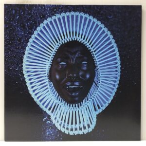 Awaken My Love (USED LP)