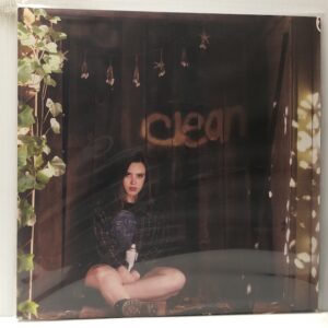 Clean (USED LP)