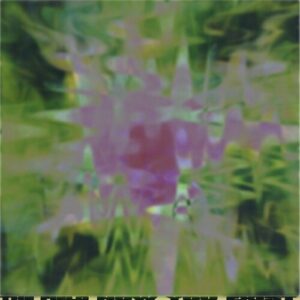 Now You Exist (NEW LP)