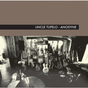 Anodyne (New LP)