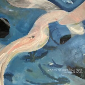 Modes of Impermanence (New LP)