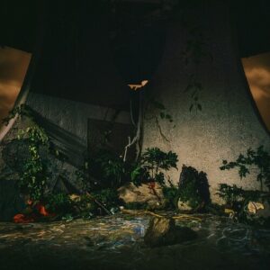 The Plot in You (New LP)