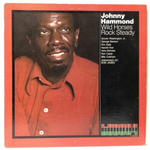 Wild Horses Rock Steady (USED LP)