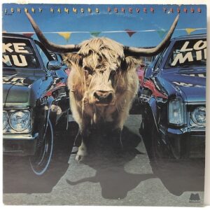 Forever Taurus (USED LP)