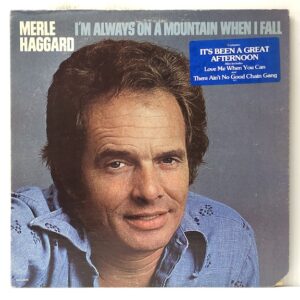 Im Always On a Mountain When I Fall (USED LP)
