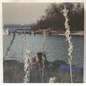 Cardamom Times (USED LP)