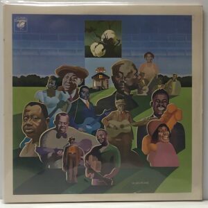 Story of the Blues (USED LP)
