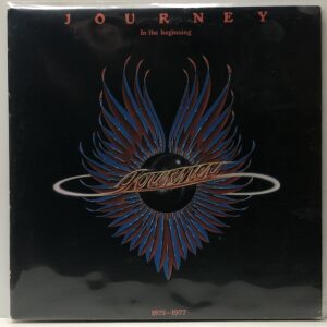 In the Beginning (USED LP)
