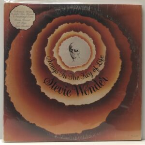 Songs In the Key of Life (USED LP)