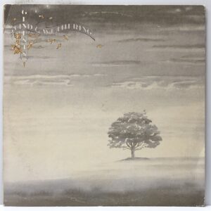 Wind & Wuthering (USED LP)