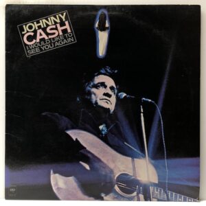 I Would Like to See You Again (USED LP)
