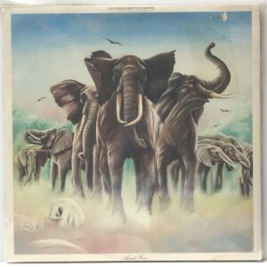 Armed Forces (USED LP)