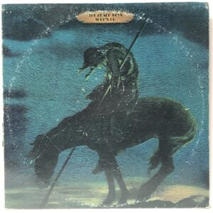 Surfs Up (USED LP)
