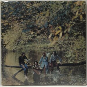 Wild Life (USED LP)