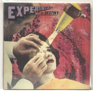 Experiments in Destiny (USED LP)
