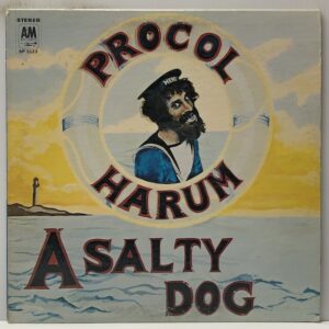 Salty Dog (USED LP)