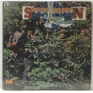 Step Further (USED LP)