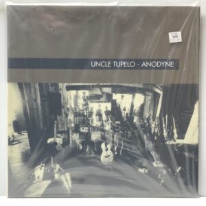 Anodyne (USED LP)