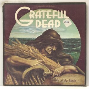 Wake of the Flood (USED LP)