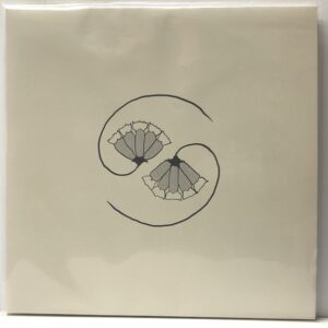 G_ds Pee at States End (USED LP)
