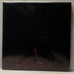 Punisher (USED LP)