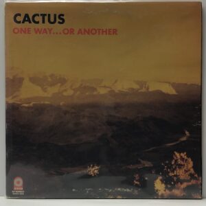 One Way or Another (USED LP)