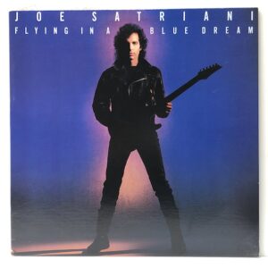 Flying in a Blue Dream (USED LP)