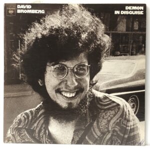 Demon In Disguise (USED LP)